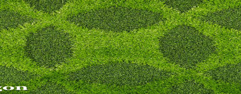 grass