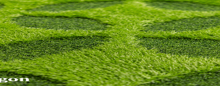 grass