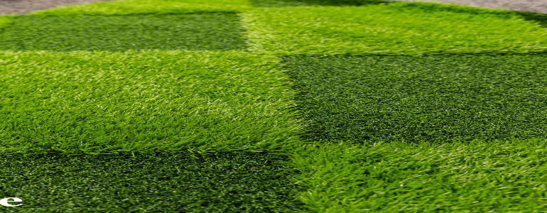 grass