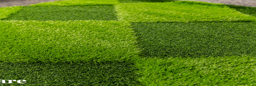 grass