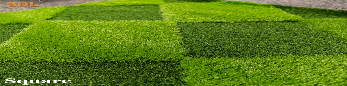 grass