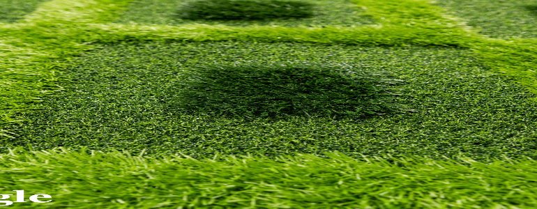 grass
