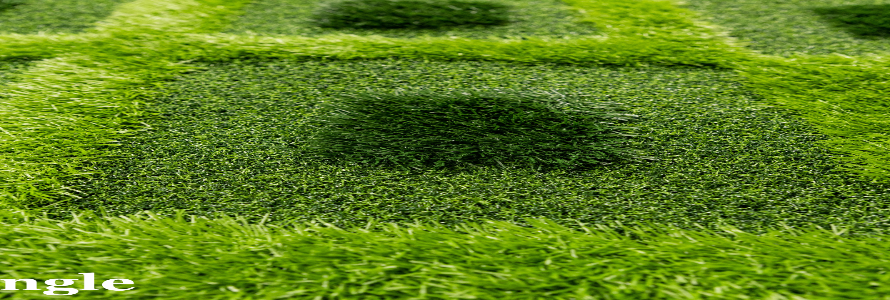 grass