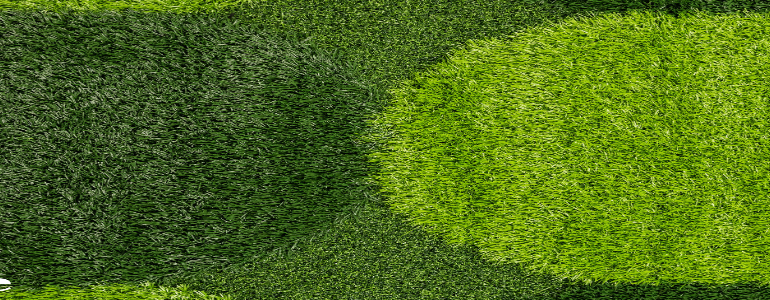 grass