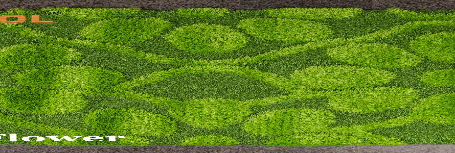grass